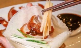 鸭片在线观看,揭秘网络短视频的狂欢与争议